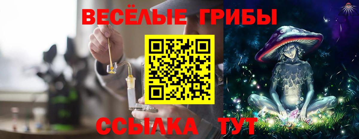 Добрянка  Галлюциногенные грибы Psilocybe  Галлюциногенные грибы GOLDEN TEACHER  Вход с VPN 